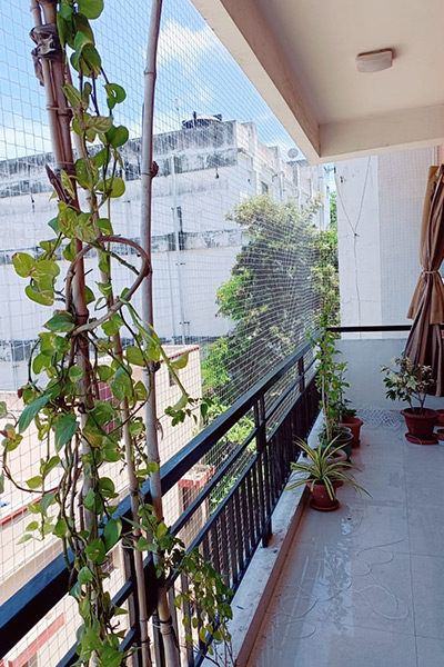 Anti-Bird-Nets-Installation-Service-in-Hyderabad