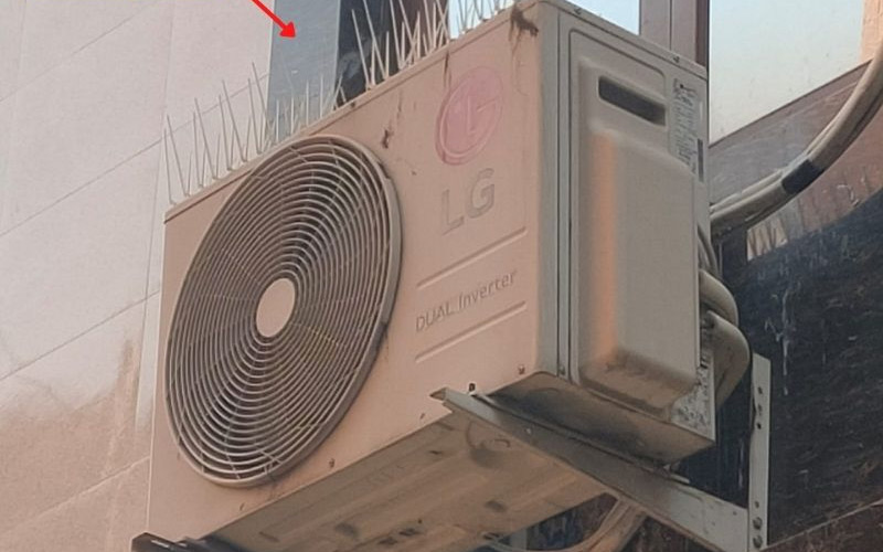 Bird-Nets-For-windows-Installation-Service-in-Hyderabad